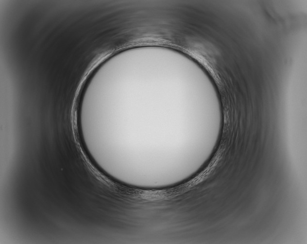 X0000098141466200804171110