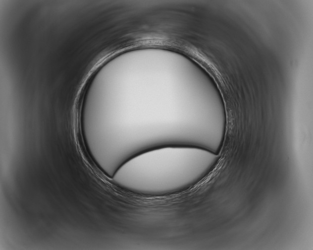 X0000098141467200804171110