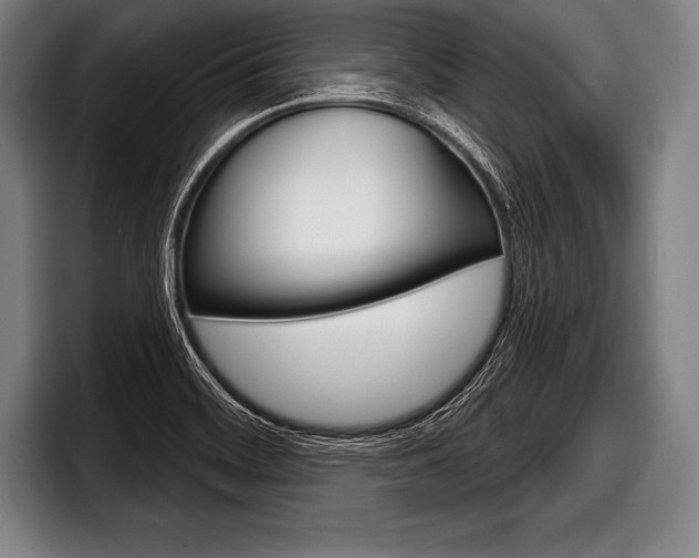 X0000098141468200804171110
