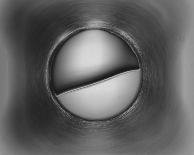 X0000098141469200804171110