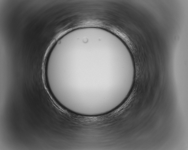 X0000098141470200804171110
