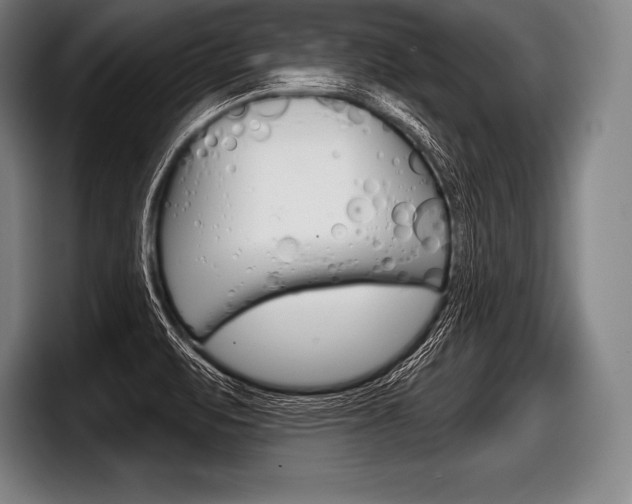 X0000098141471200804171109