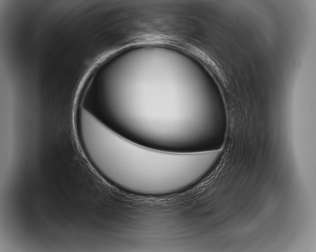 X0000098141472200804171109