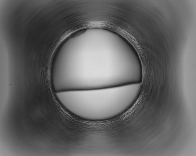 X0000098141473200804171109