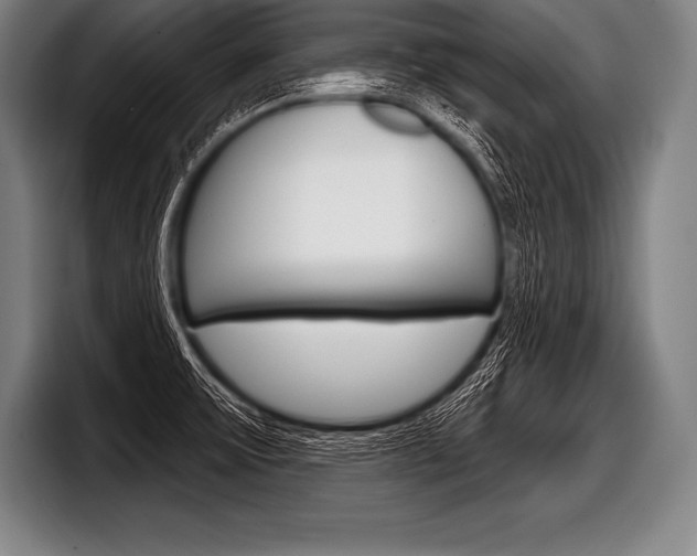 X0000098141475200804171109
