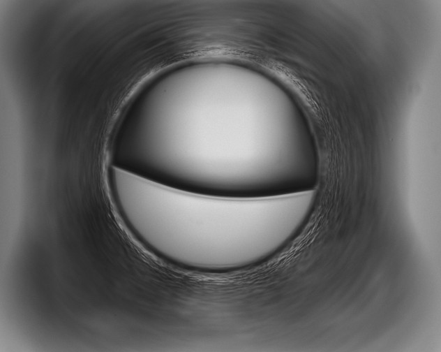 X0000098141476200804171109