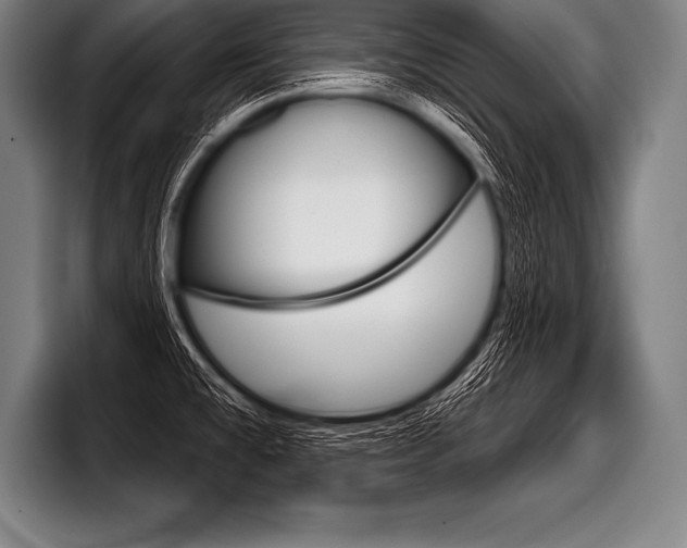 X0000098141477200804171109