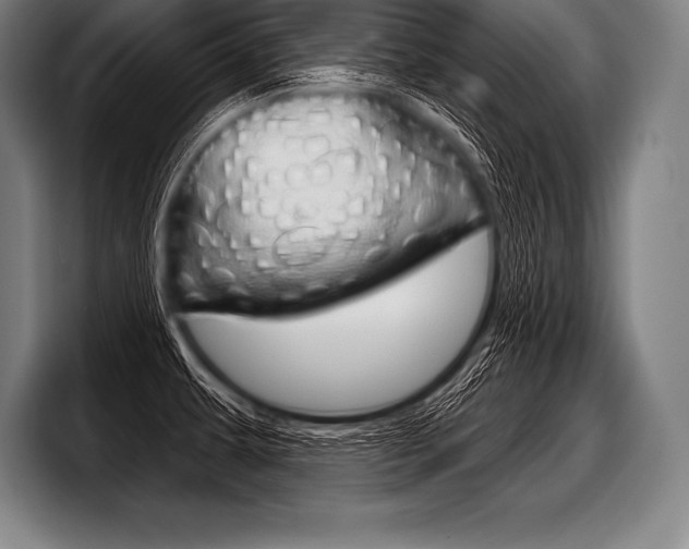 X0000098141479200804171109