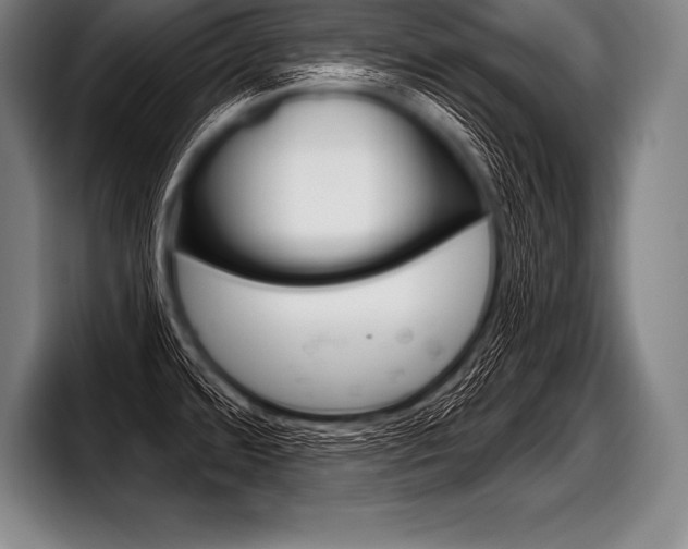 X0000098141480200804171109