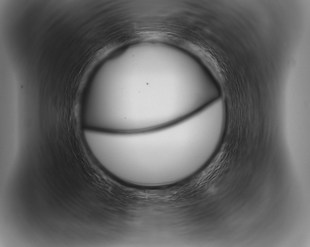 X0000098141481200804171109