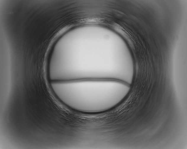 X0000098141482200804171109
