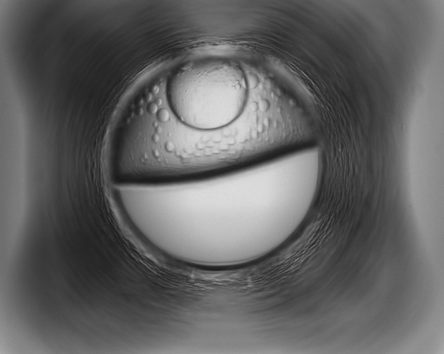 X0000098141483200804171109