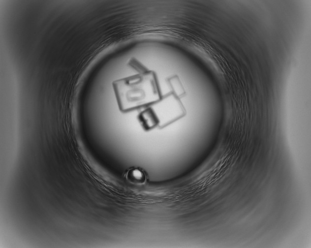 X0000098141484200804171109