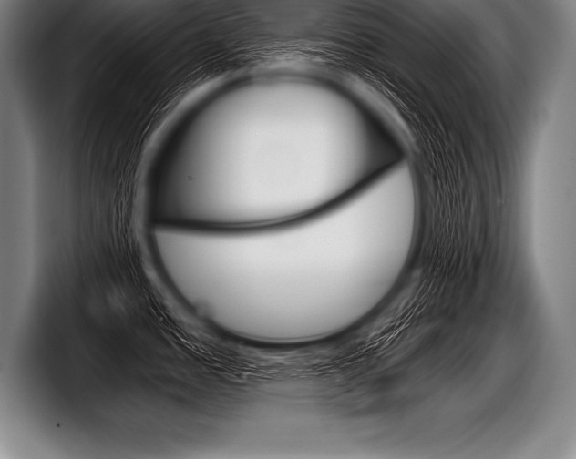X0000098141485200804171109