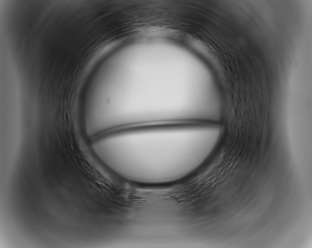 X0000098141487200804171109
