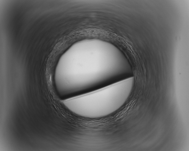 X0000098141489200804171109
