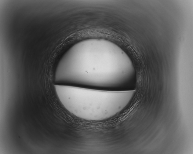 X0000098141490200804171109