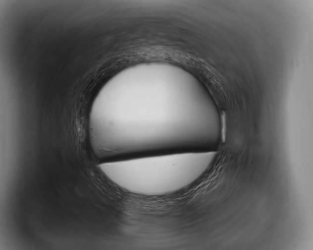 X0000098141491200804171109