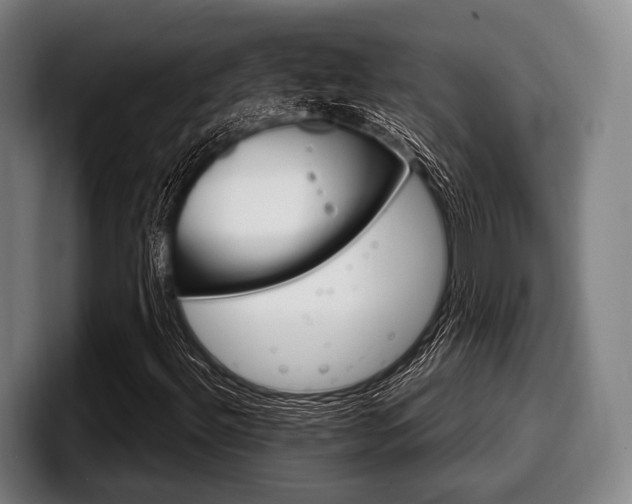 X0000098141492200804171109