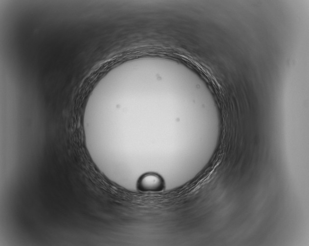 X0000098141494200804171109