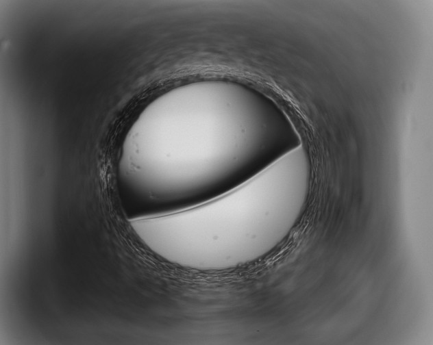 X0000098141495200804171109