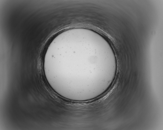 X0000098141498200804171109