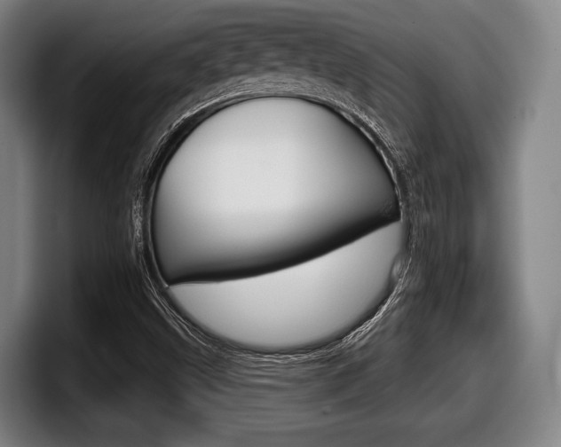 X0000098141499200804171109