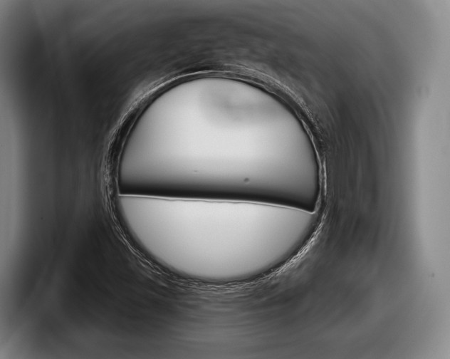 X0000098141501200804171109