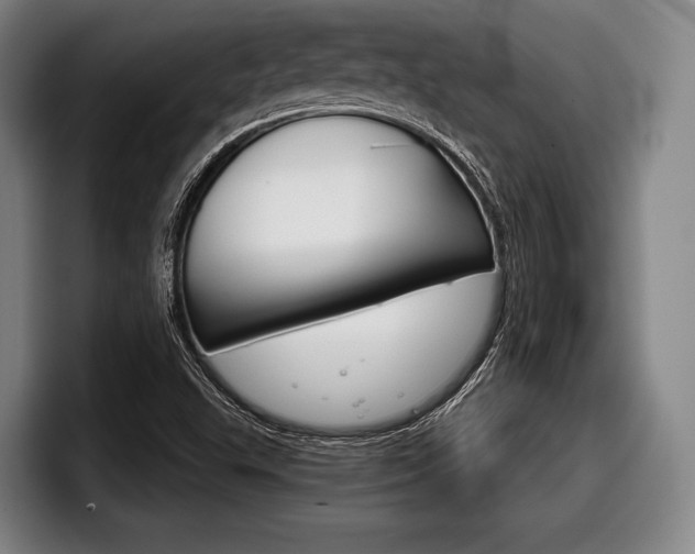 X0000098141503200804171109