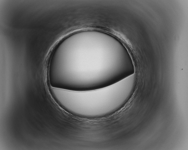 X0000098141504200804171109