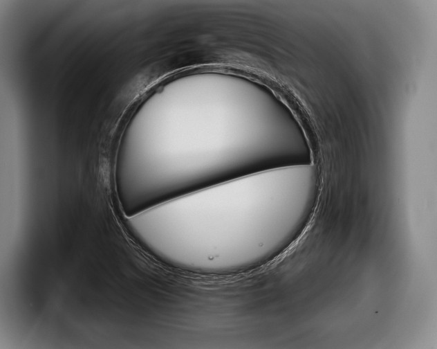 X0000098141505200804171109