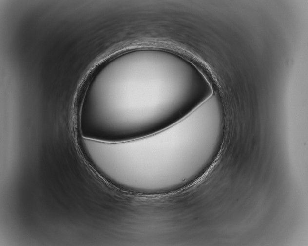 X0000098141506200804171109