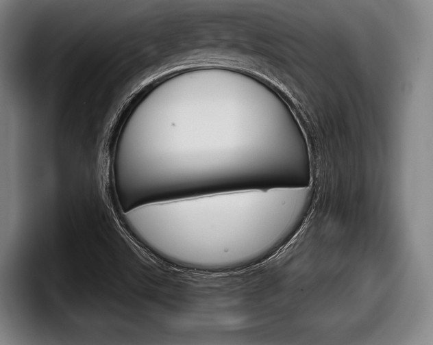 X0000098141507200804171109