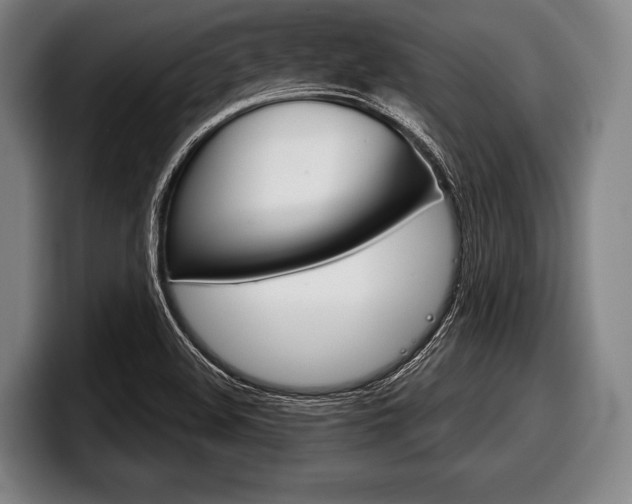X0000098141508200804171109