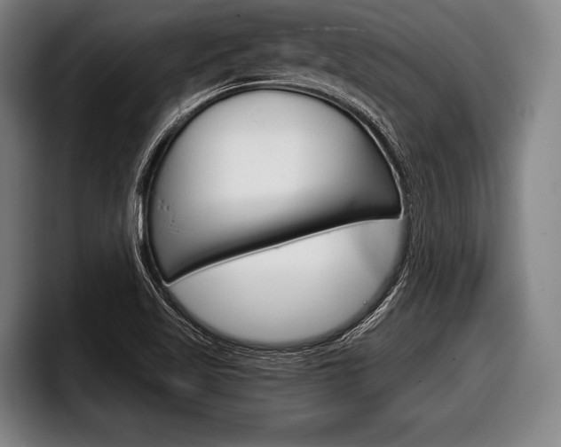 X0000098141509200804171109