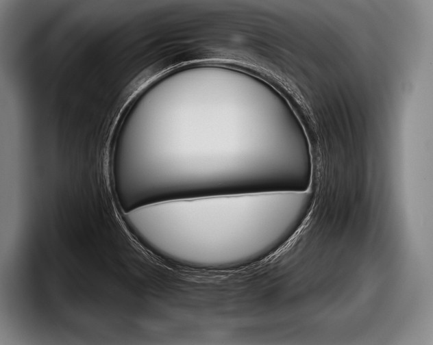 X0000098141513200804171109