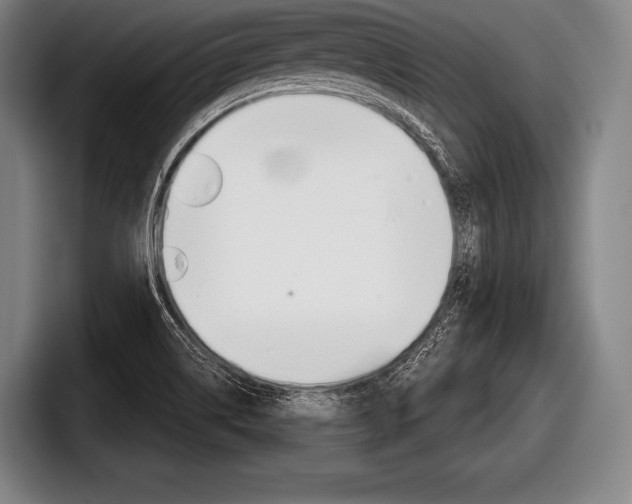 X0000098141514200804171109