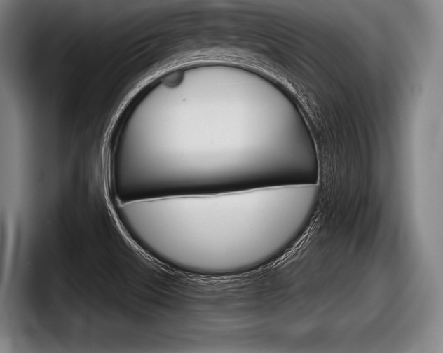 X0000098141515200804171109