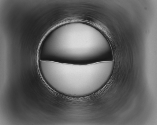 X0000098141516200804171109