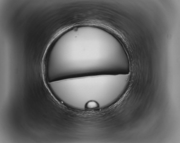 X0000098141517200804171109