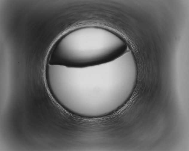X0000098141518200804171109