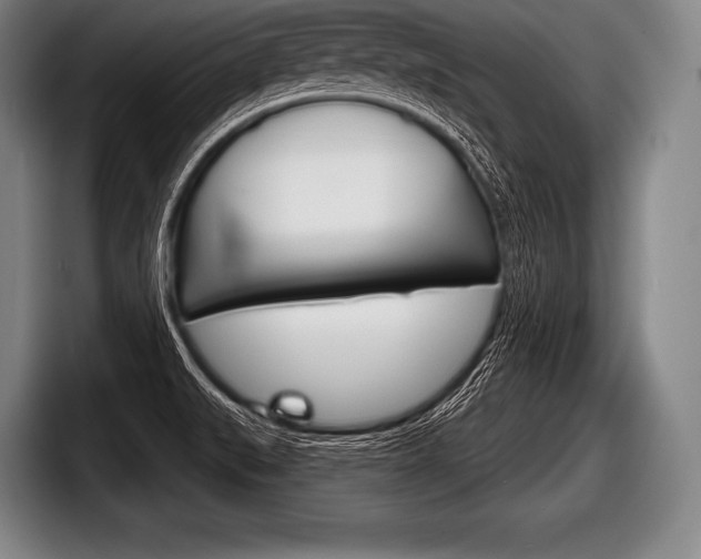 X0000098141519200804171109