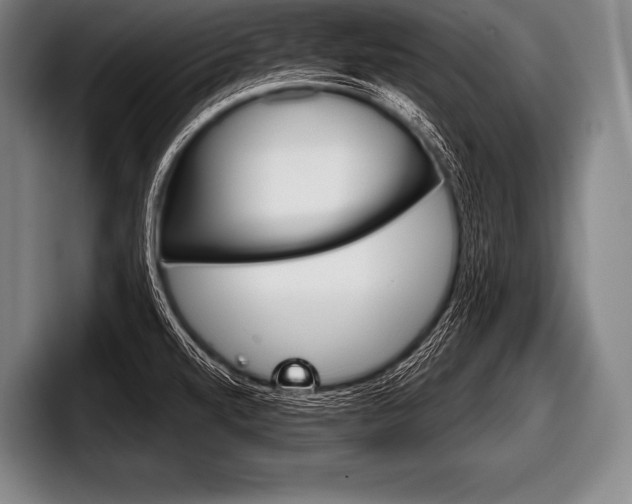 X0000098141520200804171109