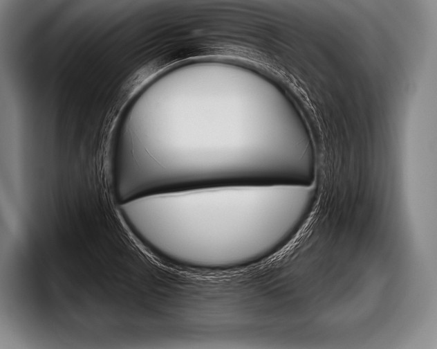 X0000098141521200804171109