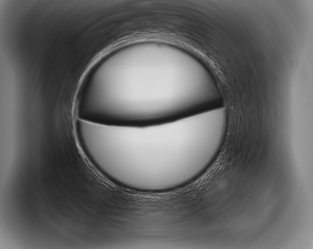 X0000098141522200804171109