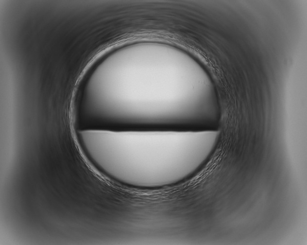 X0000098141523200804171109