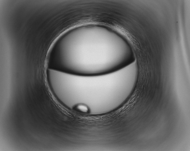X0000098141524200804171109