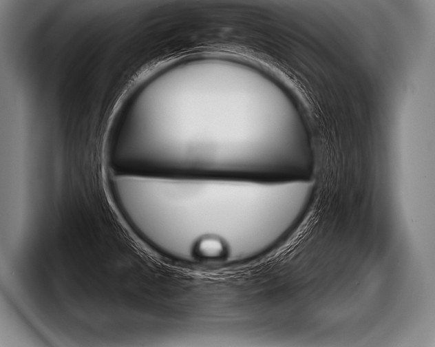 X0000098141525200804171109