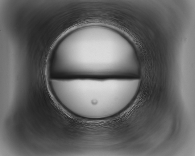 X0000098141526200804171109