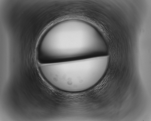 X0000098141527200804171109
